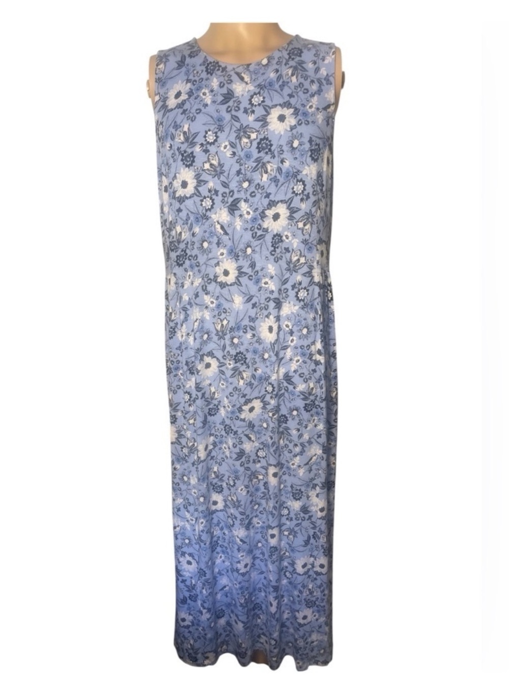 Jill
J.Jill Sleeveless Blue Floral Maxi Dress Size Large Tall